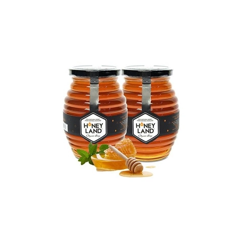 Mật ong rừng Hoa Yên Bạch Honimore - Ảnh 2